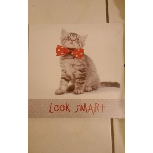 Cadre photo toile chat look smart 28x28cm