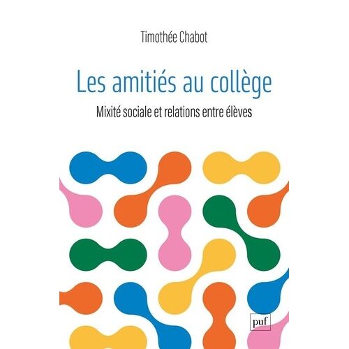 Les Amitiés Au Collège - Mixité Sociale Et Relations Entre Élèves