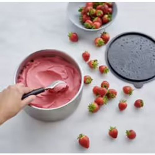 Plat Isotherme Vorwerk / Thermomix