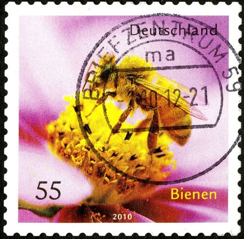 Timbre Oblitéré Deutschland, Bienen, 2010, 55