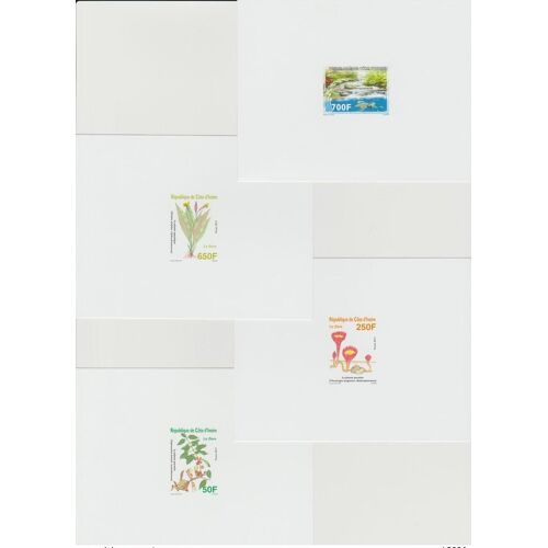 Cote D'ivoire Ivory Coast 2013 Mi. 1497 - 1500 Epreuve De Luxe Proof Tortue Turtle Schildkrote Flora Flore Plante Fleur