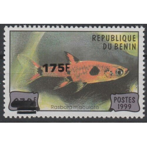 Benin 2005 Mi. 1389 Rasbora Maculata Poisson Fish Fisch Faune Fauna Marine Surcharge Overprint Mnh**