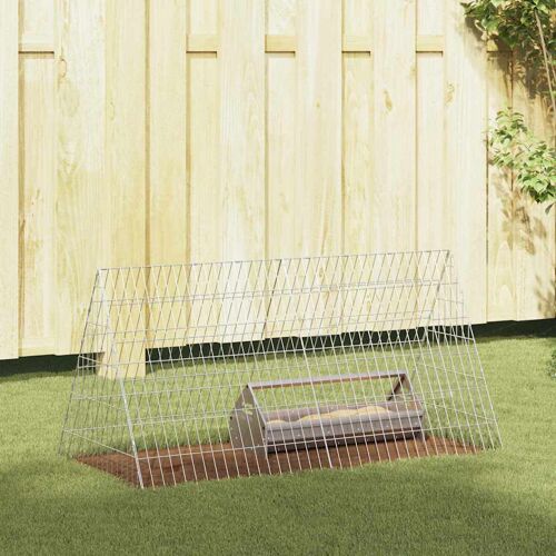Vidaxl Cage À Poules Argent 110 X 55 X 55 Cm Acier Galvanisé