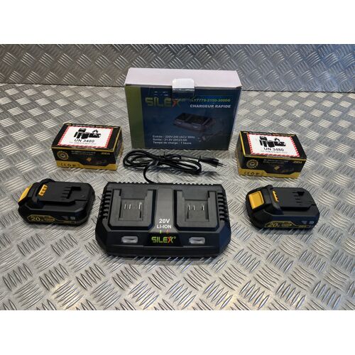 2 x batterie 20v - 2Ah Rida ly777 et chargeur double outils silex Schneider Rida Meterk Liangye electro portatif perceuse scie agrafeuse visseuse pistolet colle gonfleur tronçonneuse souffleur ...
