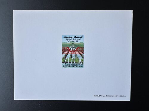 Maroc 1987 Mi. 1125 Epreuve De Luxe Proof Irrigation Drainage Congres Agriculture Eau Culture Eau Konigreich Marokko