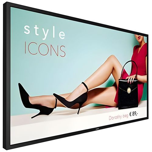 Philips 55BDL4002H - Classe de diagonale 55" (54.6" visualisable) - H-Line écran LCD rétro-éclairé par LED - signalisation numérique - 1080p 1920 x 1080