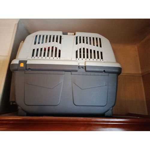 Grande Cage Transport Animaux