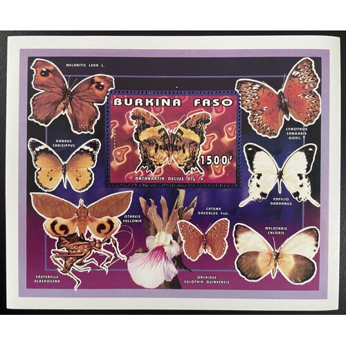 Burkina Faso 1996 Yt Bl. 60 Papillons Butterflies Schmetterlinge Faune Insectes Lepidopteres Moths Nature