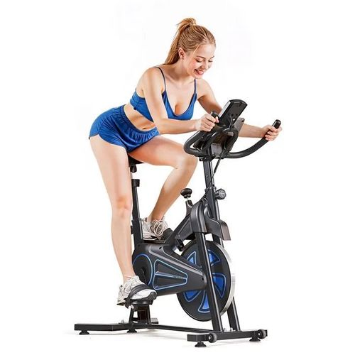 Vélo D'appartement Spinning Formill, Vélo Biking, Vélo D'intérieur, Vélo D'exercice, Avec Écran Lcd, Roue 10kg Résistance Magnétique