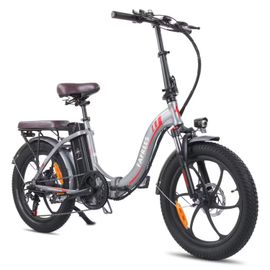 Fafrees F20 Pro Vélo Électrique Pliable, 90km Autonomie, 250w, 36v 18ah, 25km/H, 150kg, Gris
