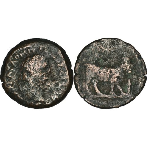 Rome Provinciale - Domitien - Taureau - Alexandrie - 7.52 G - Rare - 27-230