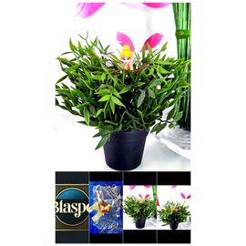 Figurine Mini Fée Décorative – Statue Féérique pour Plantes, Jardin ou Décoration Intérieure fée uniquement