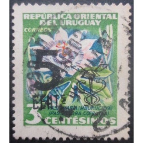 Uruguay N°655 Fleur Oblitéré