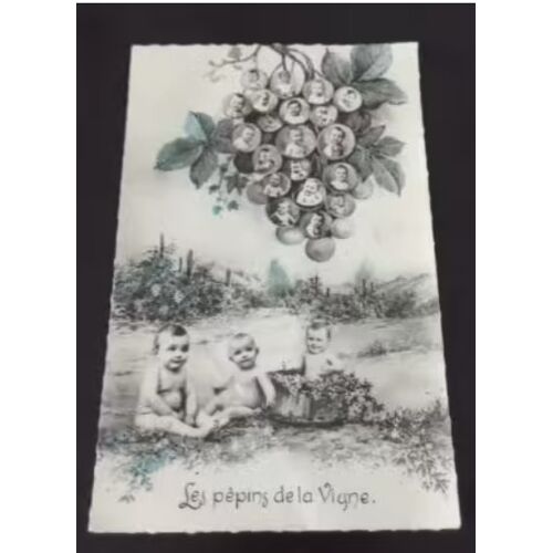 Carte Postale Carte Photo Montage Bebes - Les Pepins De La Vigne En L'état Sur Les Photos