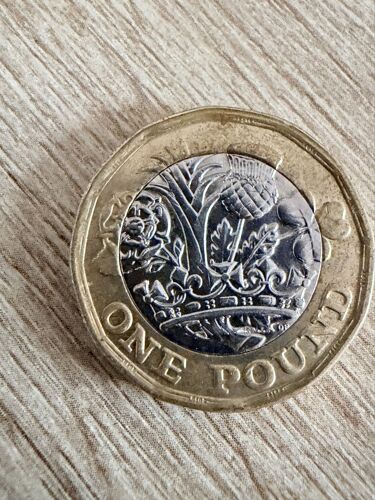 Une Pièce De 1 Pound Année 2016