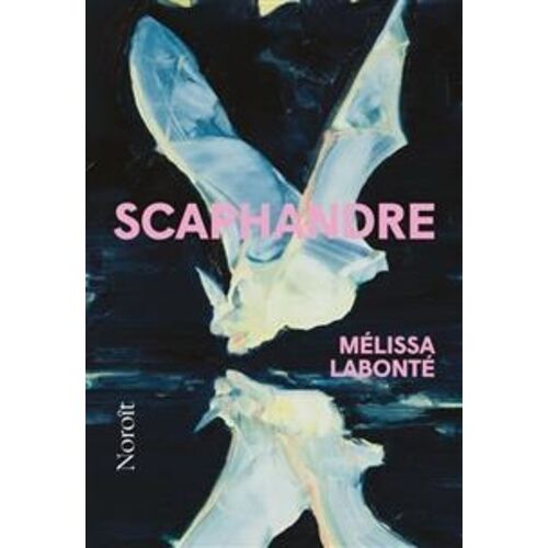 Scaphandre