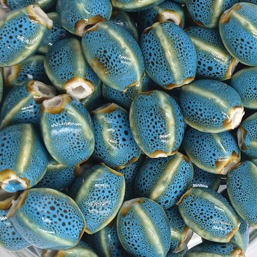 10 Perles Porcelaine Bleue Émaillée Ovale 12-14mm - Style Antique - Bijoux Diy