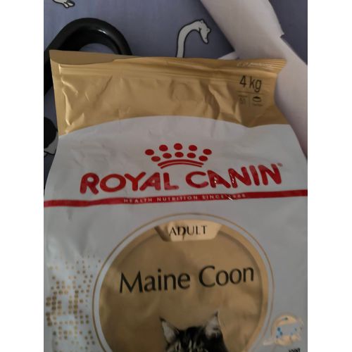 Croquettes Chat Royal Canin + 3 Kits Herbe À Chat Trixie 🌿
