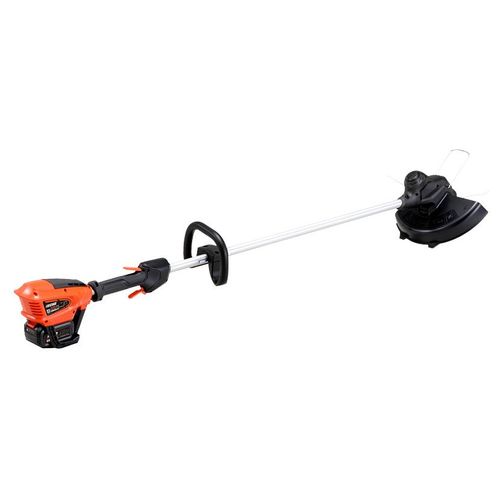 Echo DSRM 310 30,5 cm AC/Batterie Noir et Rouge