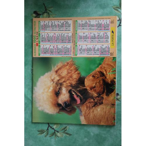 Calendrier Almanach Des Postes Ptt  1995 Enfant Chien Yorkshire Caniche Région Jura Voir Mes Autres Calendriers
