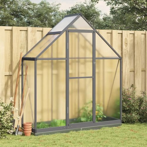 Prolenta Premium - Serre Avec Cadre De Base Anthracite 169x58x202 Cm Aluminium