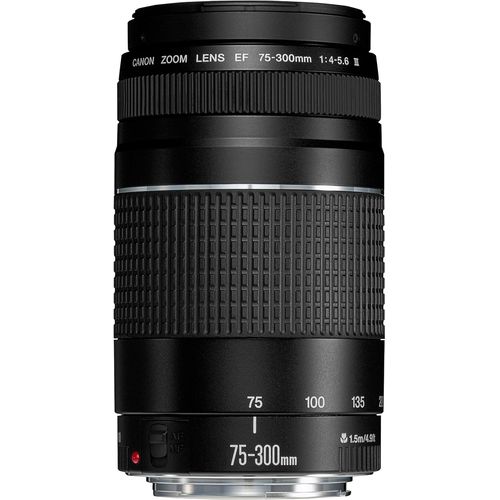 Canon EF 75-300mm f/4.0-5.6 III Objectif + SIGMA Bague d'Adaptation MC-21 pour Canon EF vers Monture L + Filtre ND variable