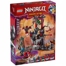 LEGO NINJAGO - Le village de la tempête draconique - 71841