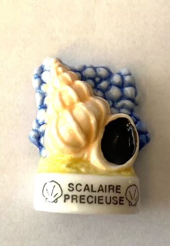 Feve Coquillage Scalaire Precieuse / Éditions Atlas Peinte À La Main