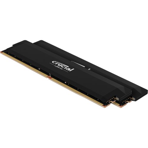 Crucial Pro CP2K16G60C36U5B module de mémoire 32 Go 2 x 16 Go DDR5 ECC