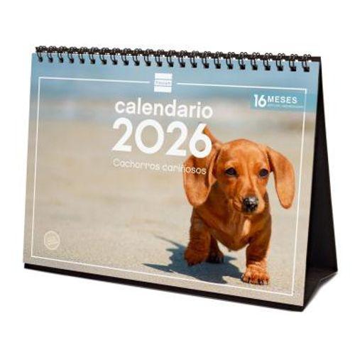 Finocam 780323726 Calendrier Table