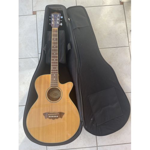 Guitare Électro-Acoustique Whasburn Accordeur Intégré . Incluant : Housse De Protection Et Trépied