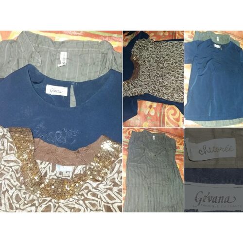 3 T-Shirt Bleu - Gris - Marron À Paillettes Chicorée - Gevana B Taille 44/46