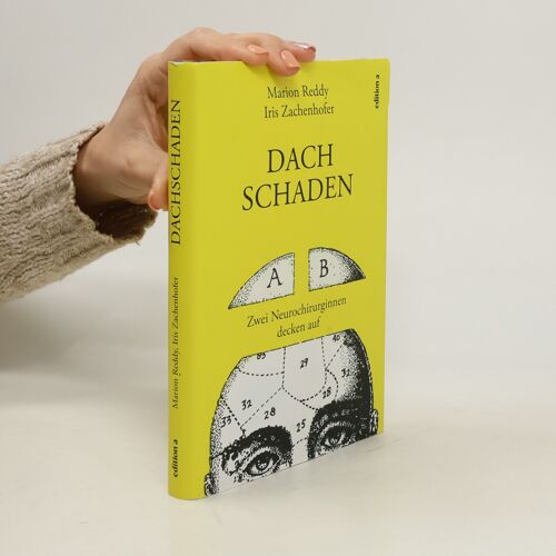 Dachschaden