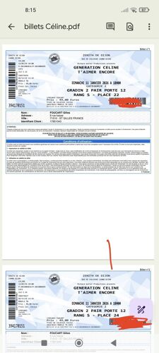 2 Billets Pour Le Concert Génération Céline À Dijon.