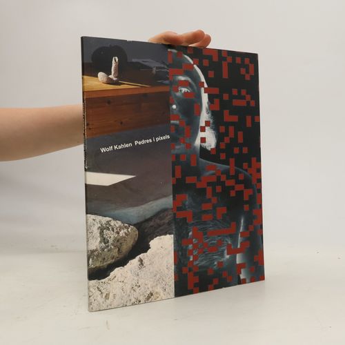 Wolf Kahlen. Pedres I Píxels | Wolf Kahlen