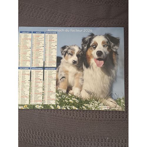 Calendrier Du Facteur 2026 -Almanach Mural Bergers Australiens & Border Collie