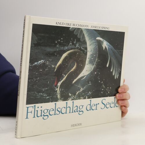 Flügelschlag Der Seele | Kolektiv