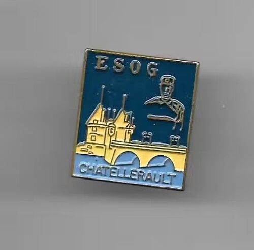 Pins Militaria Esog Chatellerault 86 Vienne / Ecole Des Sous Officiers De Gendarmerie