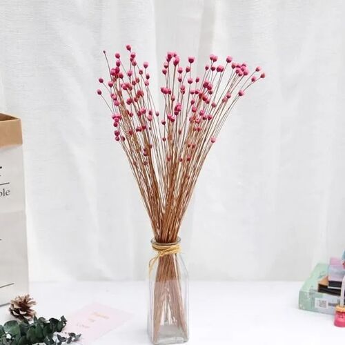 Siete Canciones Populares Espanolas N 7: Polo / Conducteur