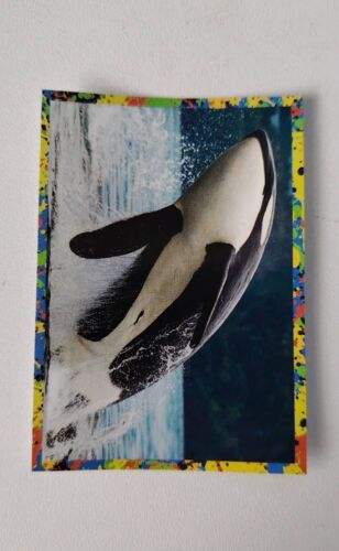 (5259) Image Panini 113 Le Monde Des Animaux Mille Et Une Couleurs