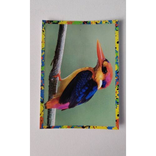(5172) Image Panini 135 Le Monde Des Animaux Mille Et Une Couleurs
