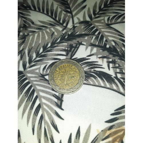 Pièce Très Rare 2 Euro L Arbre De Vie De 1999