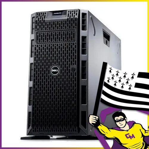 Serveur Tour Dell T320 Xeon E5-2403-V2 RAM 12Go 2x2To HDD
