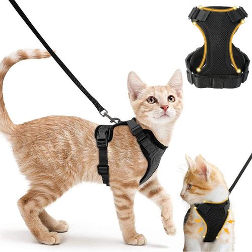Harnais Pour Chat Avec Laisse - Harnais Ajustable Et Réfléchissant Pour Chat Et Chaton - Tour De Cou 27,9 À 34,8 Cm, Tour De Poitrine 45,7 À 50,8 Cm - Taille S - Noir