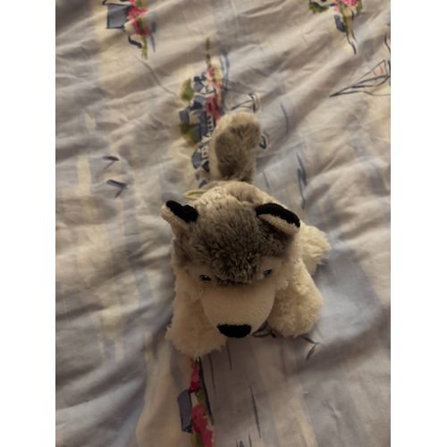 Petit chien qui aboie