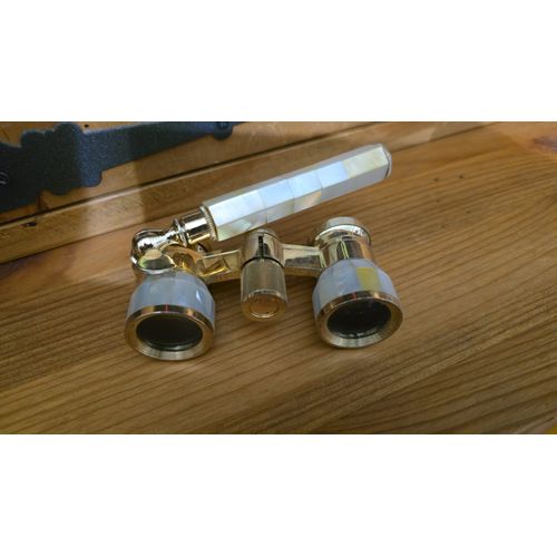 Jumelles Anciennes De La Haute Société À Vendre