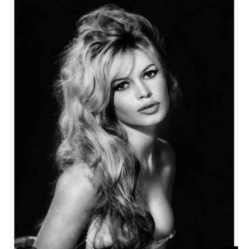 Magnet Brigitte Bardot