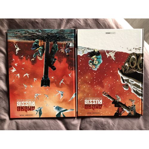 Bd 2/2 Tomes Amere Russie Excellent Etat