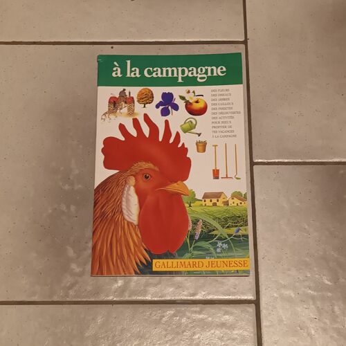 Galliamard Jeunesse À La Campagne