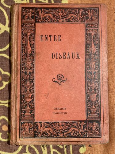 Entre Oiseaux, Josephine Colomb , Hachette